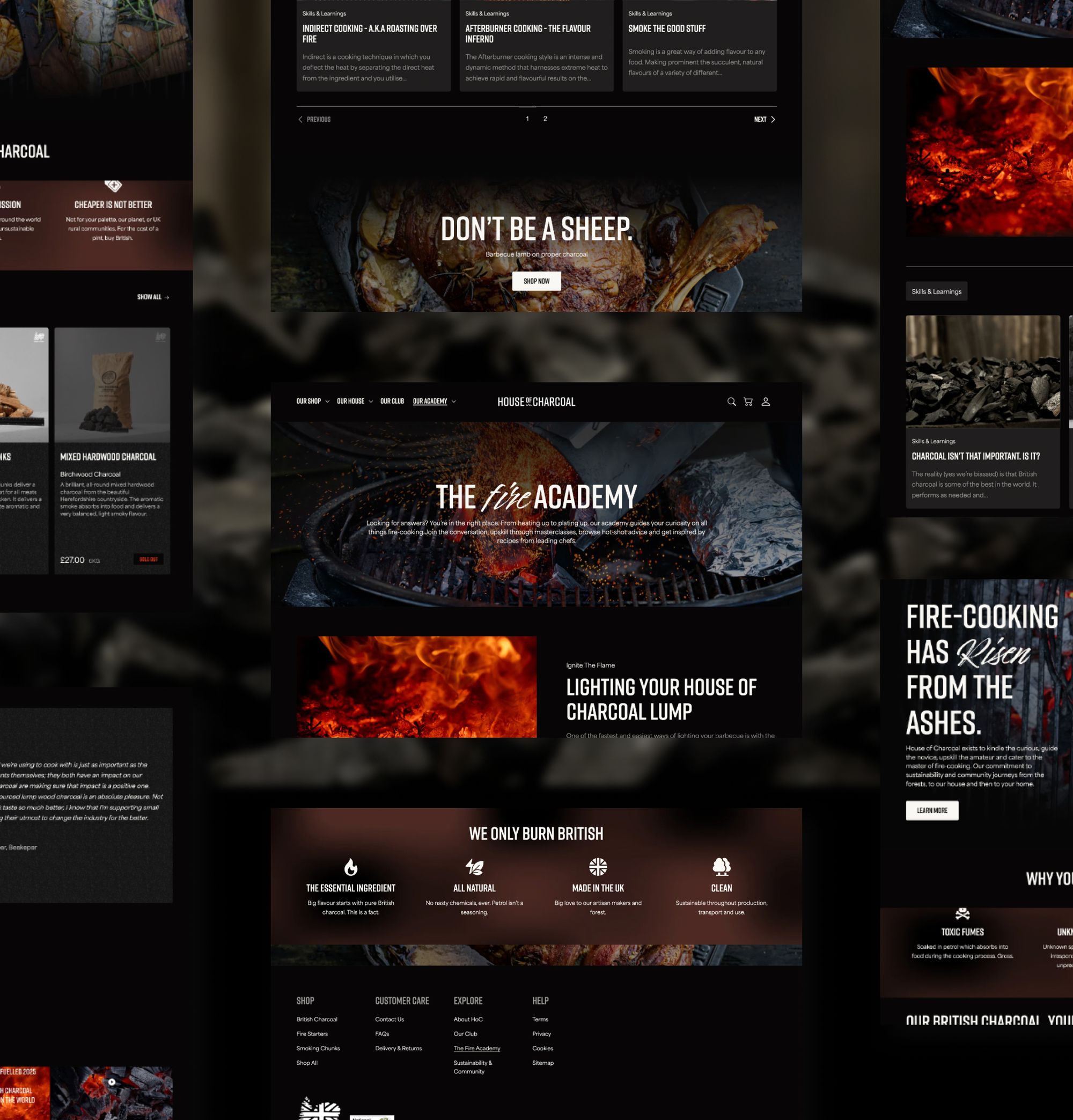 Shopify build process showcase